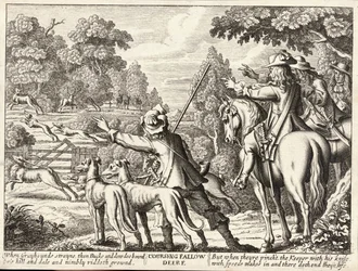 Hetzjagd auf Damhirsche